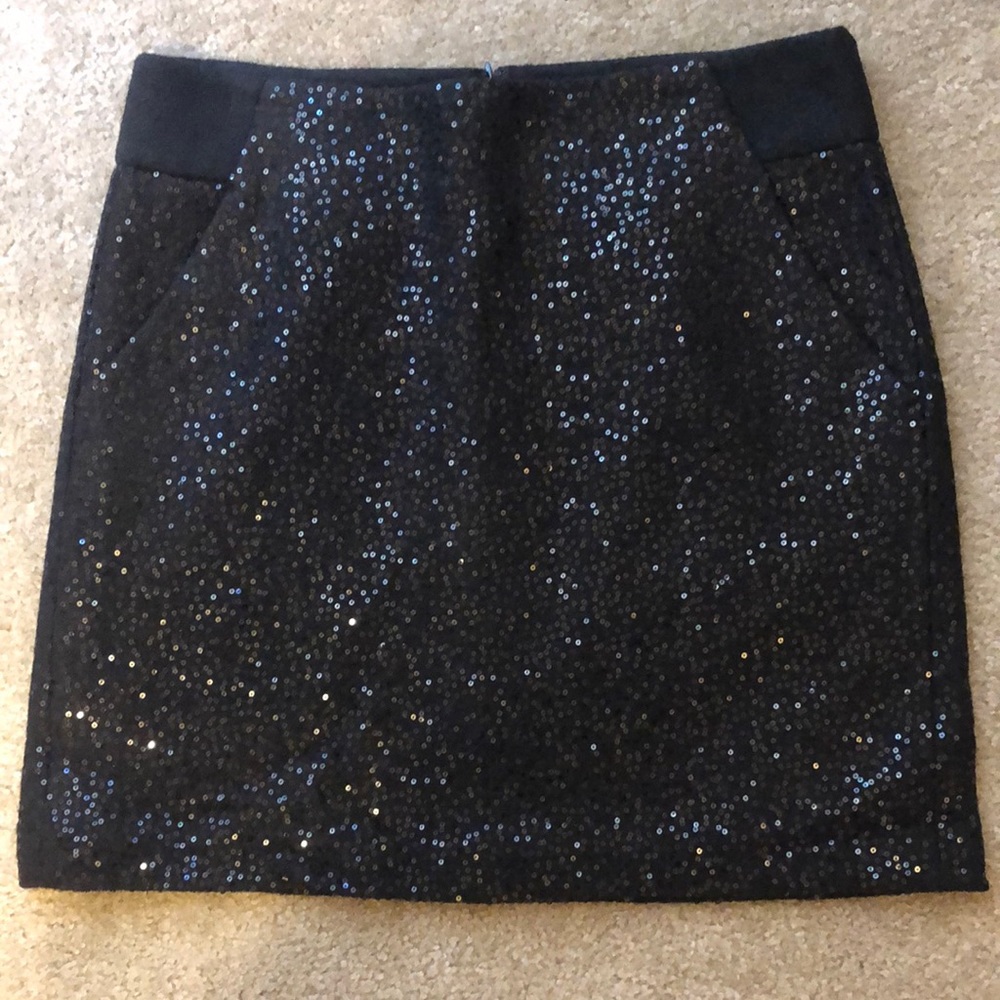 EUC LOFT Sequin Skirt size 10